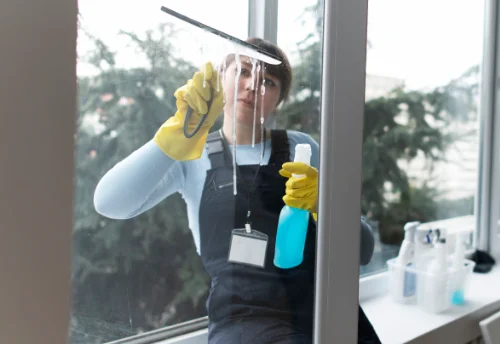 Nettoyage de vitres intérieures et extérieures à Géovreisset